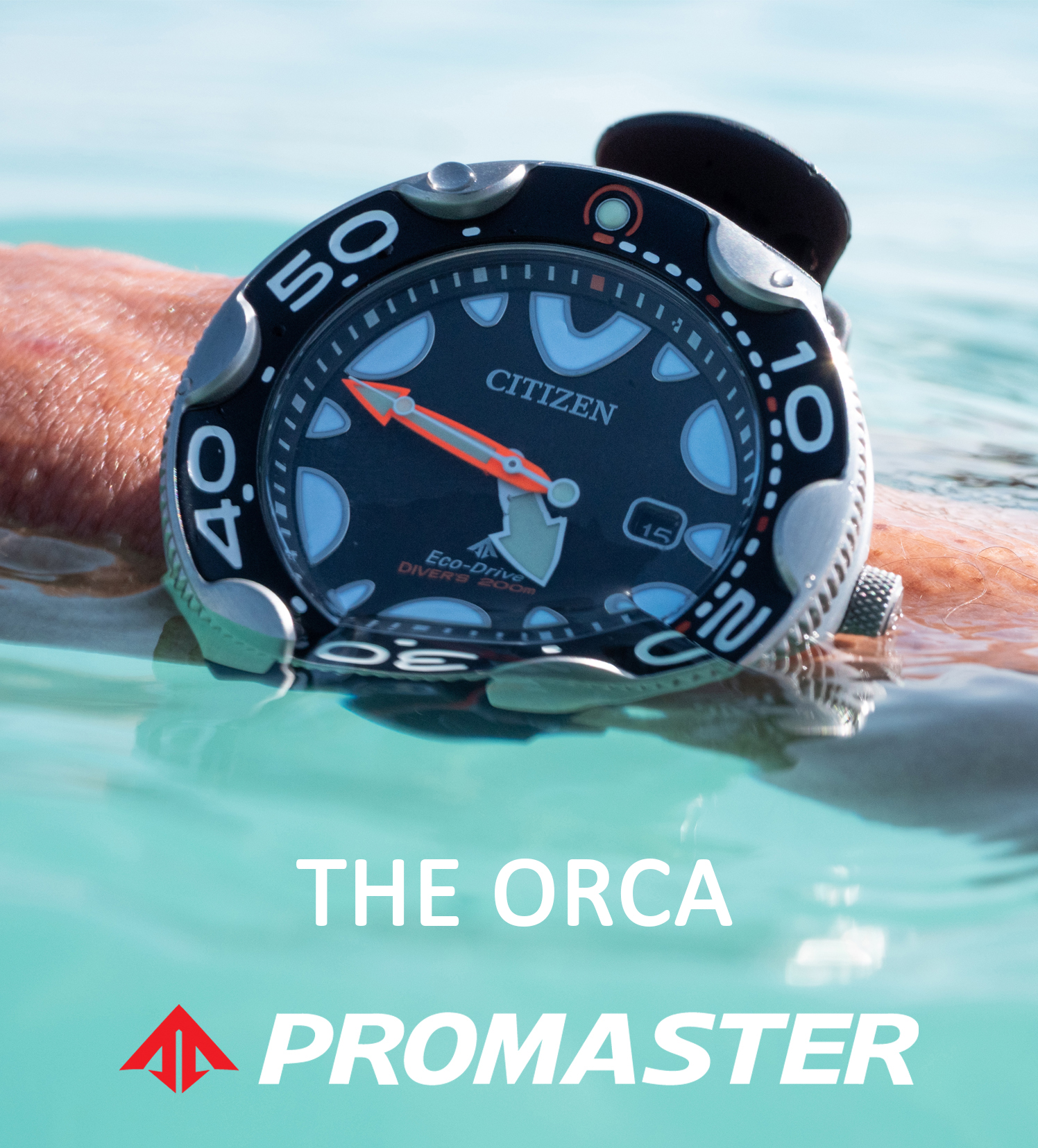 Citizen Promaster watch