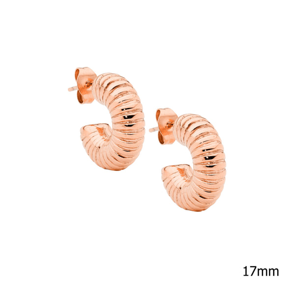 Ellani Steel Earing SE269R