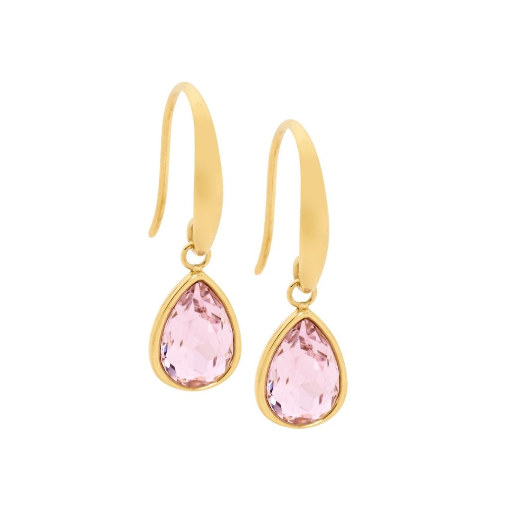 Ellani Steel Earing SE180PK-G