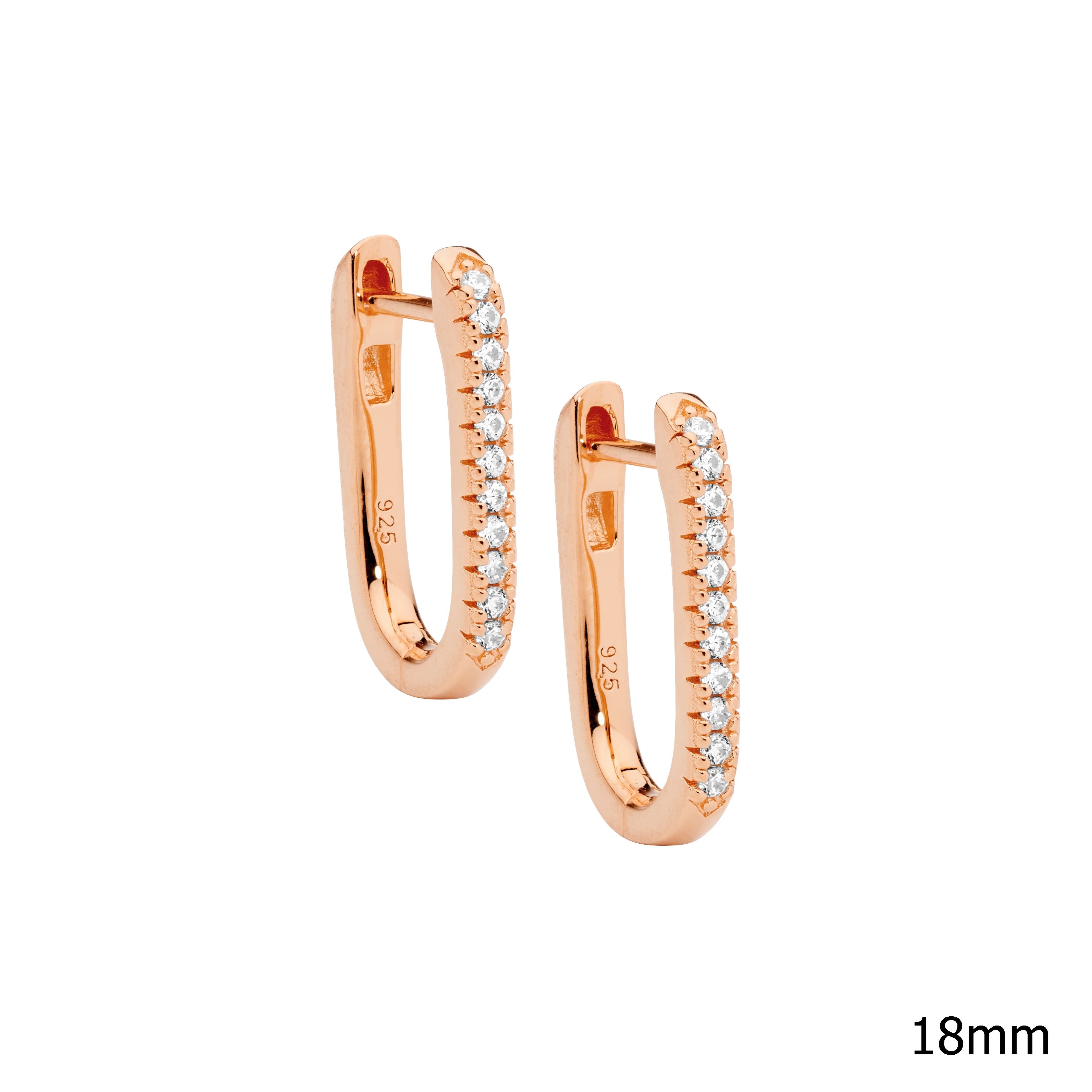 Ellani Silver Earing E610R