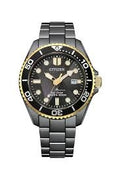 Citizen Promaster Gents Watch BN0264-53E