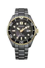 Citizen Promaster Gents Watch BN0264-53E