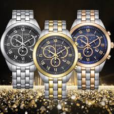 Citizen Eco-Drive Gents Watch AT2604-56H