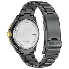 Citizen Promaster Gents Watch BN0264-53E