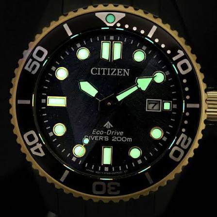 Citizen Promaster Gents Watch BN0264-53E