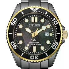 Citizen Promaster Gents Watch BN0264-53E