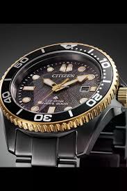 Citizen Promaster Gents Watch BN0264-53E