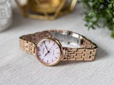 Citizen Eco-Drive Ladies Watch EM0993-82X