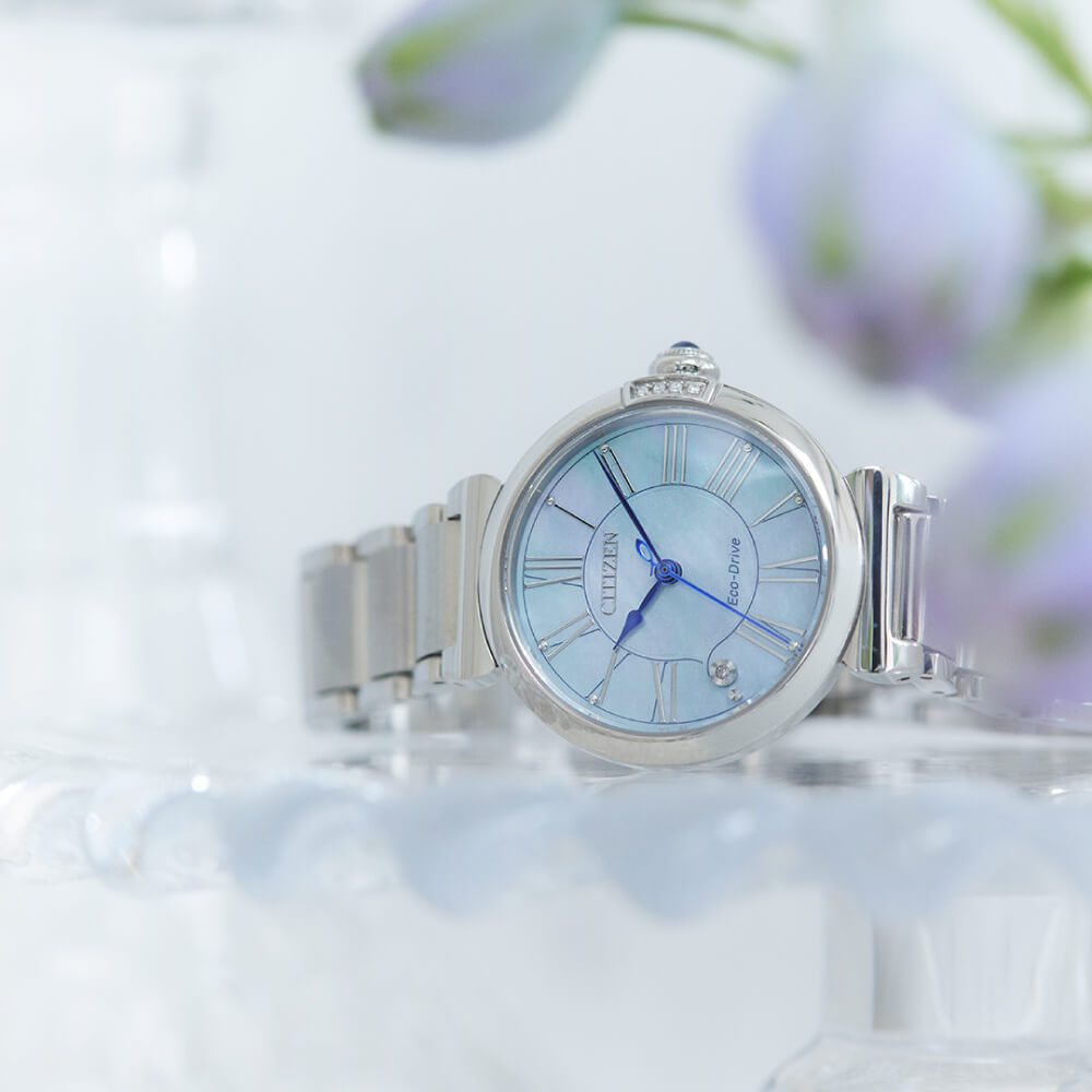 Citizen Eco-Drive Ladies Watch EM1060-87Y