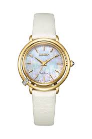 Citizen Eco-Drive Ladies Watch EM1092-64D