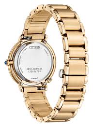 Citizen Eco-Drive Ladies Watch EM1093-61D