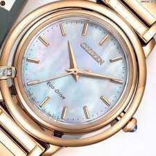 Citizen Eco-Drive Ladies Watch EM1093-61D