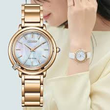 Citizen Eco-Drive Ladies Watch EM1093-61D
