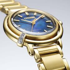 Citizen Eco-Drive Ladies Watch EM1099-57L