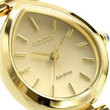 Citizen Eco-Drive Ladies Watch EM1202-50P