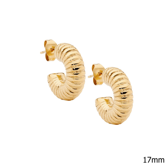 Ellani Steel Earing SE269G