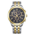 Citizen Eco-Drive Gents Watch AT2604-56H