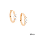 Ellani Silver Earing E570R