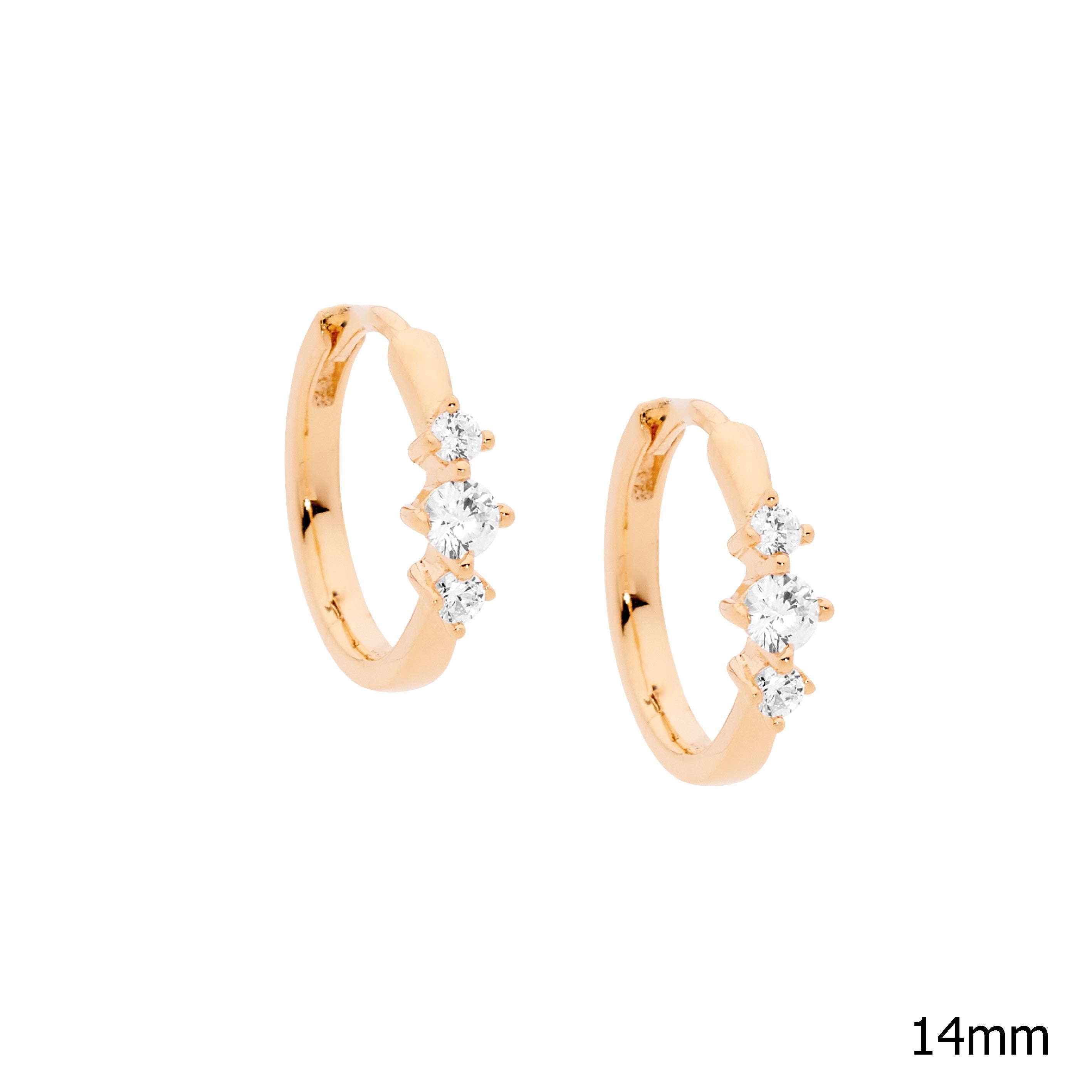 Ellani Silver Earing E570R