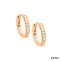 Ellani Silver Earing E549R