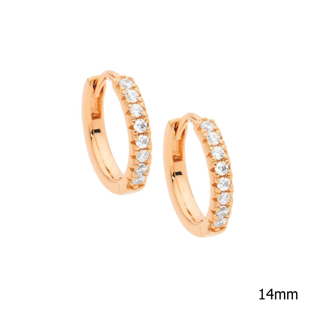 Ellani Silver Earing E549R