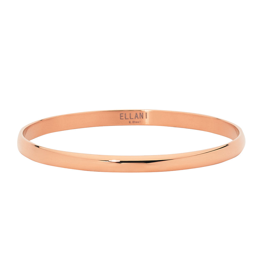Ellani Steel Bangle SB110R-65