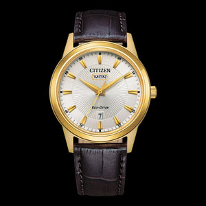 Citizen Eco-Drive Gents Watch AW0102-13A