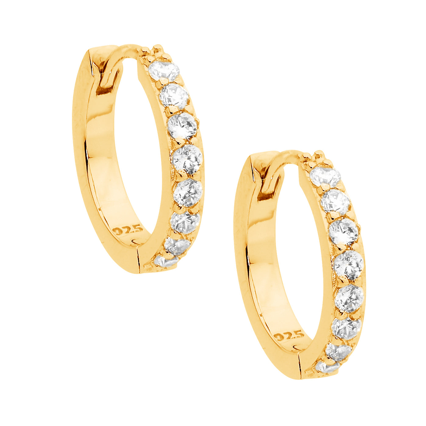 Ellani Silver Earing E512G
