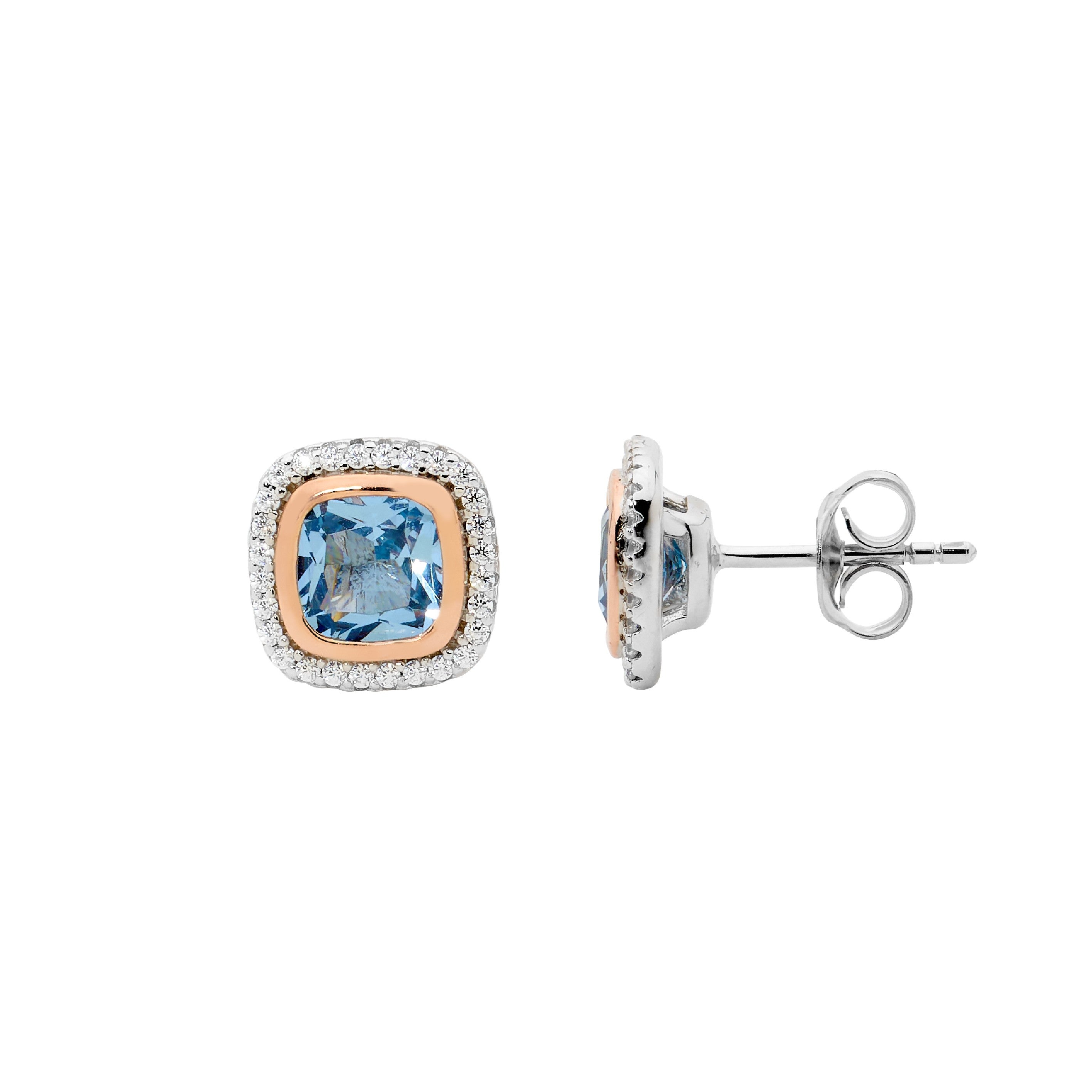 Ellani Silver Earing E510BL