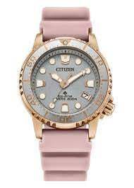 Citizen Promaster Dive Unisex Watch EO2023-00A