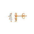 Ellani Silver Earing E555R