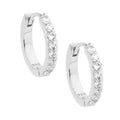 Ellani Silver Earing E512S