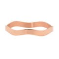 Ellani Steel Bangle SB136R-68