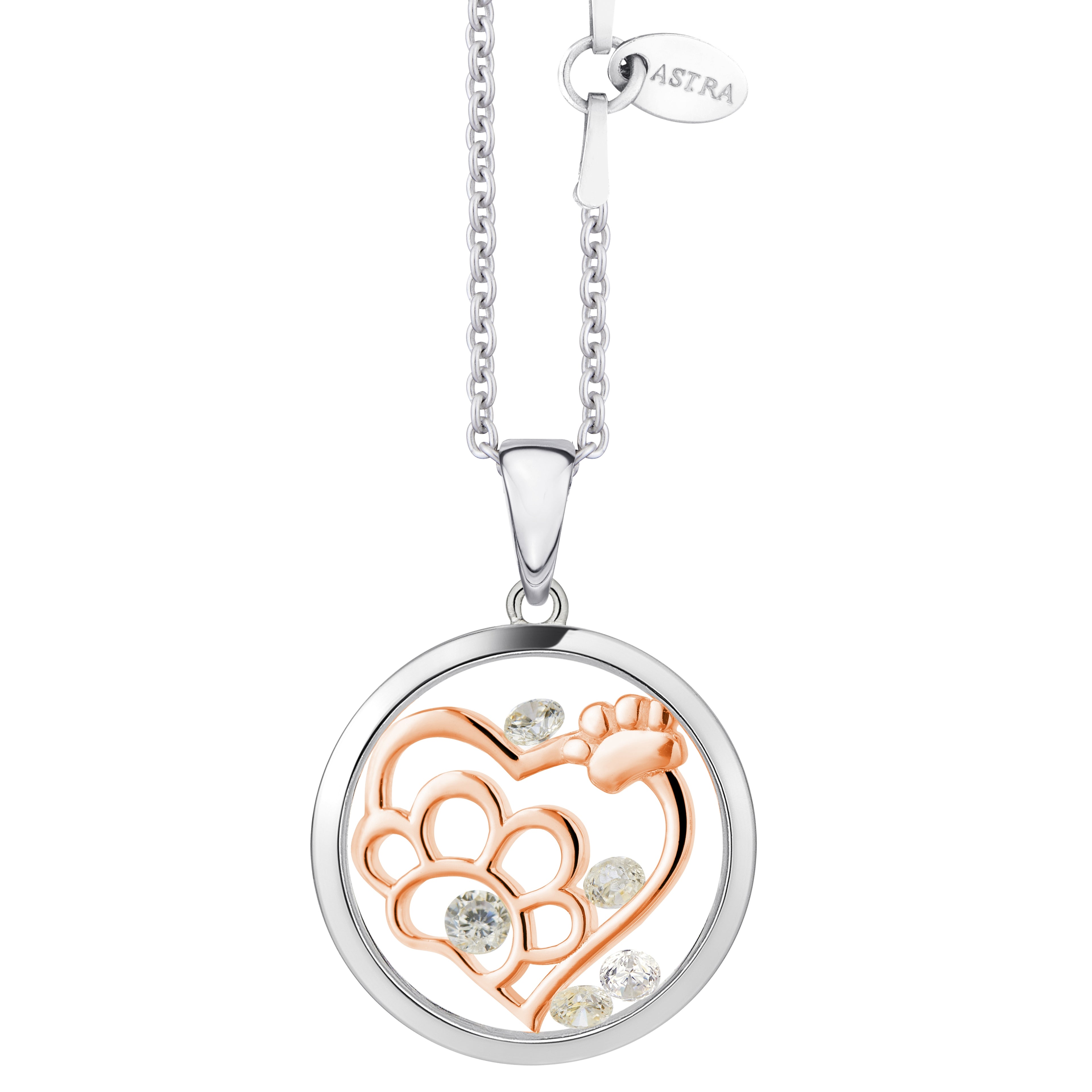 Astra Furry Friends PA5679-ROCZ