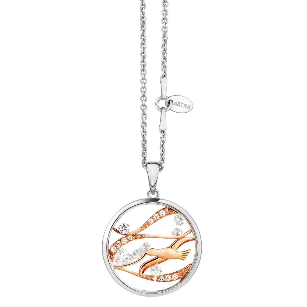 Astra Free Bird P5119-ROCZ