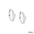 Ellani Silver Earing E564S