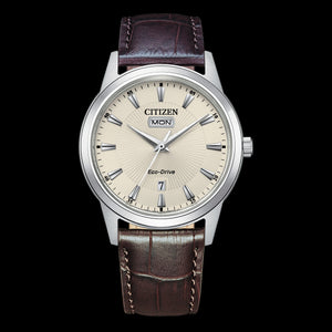 Citizen Eco-Drive Gents Watch AW0100-19A