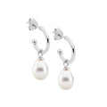 Ellani Silver Earing E558S