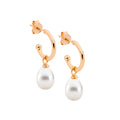 Ellani Silver Earing E558R