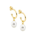 Ellani Silver Earing E558G