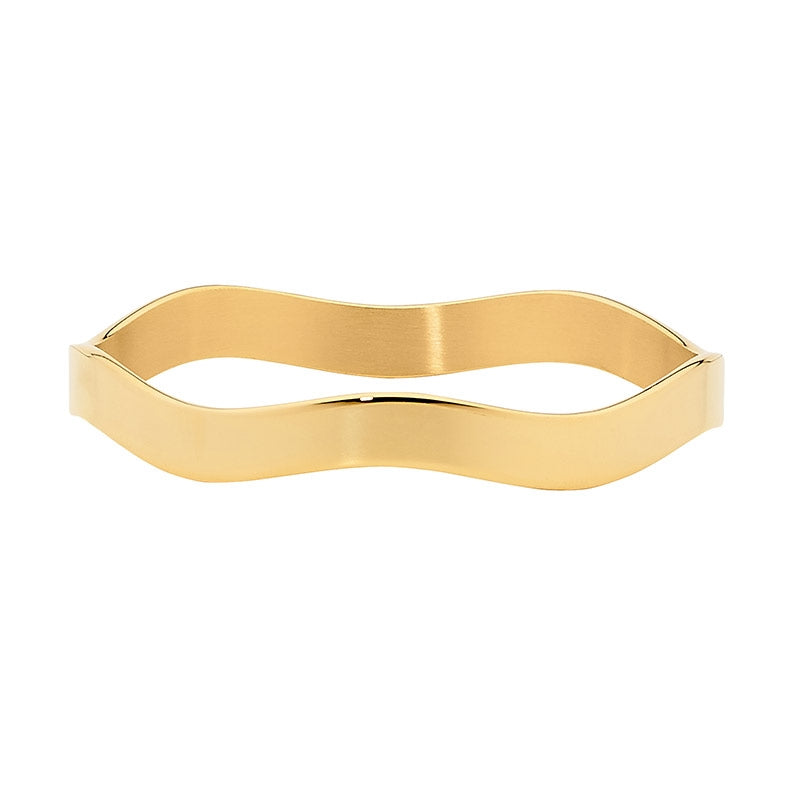 Ellani Steel Bangle SB136G-68